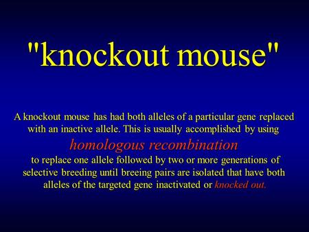 knockout mouse homologous recombination