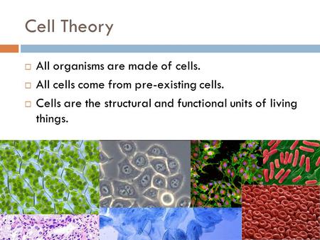 Cell Theory All organisms are made of cells.