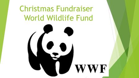 Christmas Fundraiser World Wildlife Fund. Each home room will have a jar into which students can donate money.