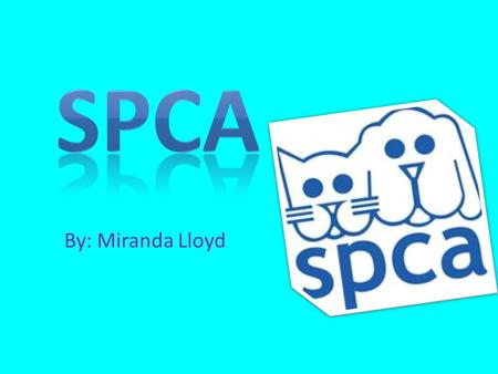 By: Miranda Lloyd. WHAT THEY DO? SPCA helps protect animals from being in danger. They focus on how to stop animal cruelty.