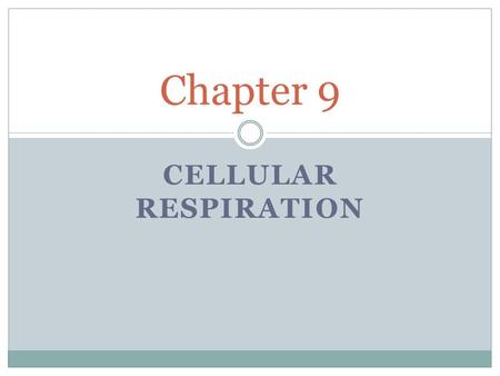 CELLULAR RESPIRATION Chapter 9. Cellular Respiration The process that releases energy by breaking down glucose and other food molecules in the presence.