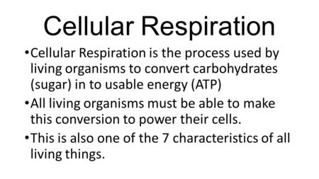 Cellular Respiration Cellular Respiration is the process used by living organisms to convert carbohydrates (sugar) in to usable energy (ATP) All living.