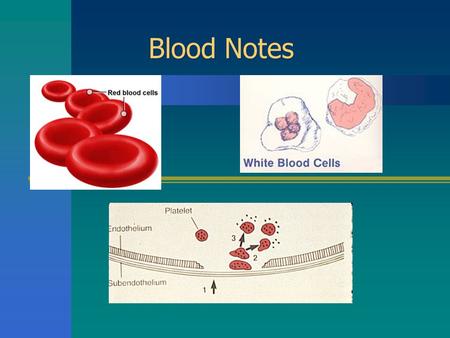 Blood Notes.