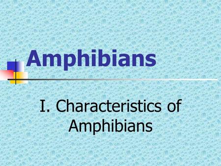 Amphibians I. Characteristics of Amphibians Introduction Why would water creatures (fish) want to move on land? Why would this be advantageous?