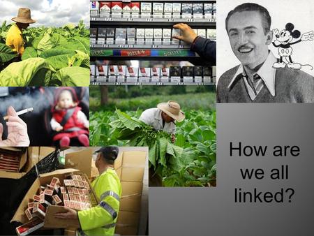 How are we all linked?. What do you know about cigarettes?  resource/Cigarettes-and-the-economy- 6187510/