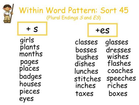 Within Word Pattern: Sort 45 (Plural Endings S and ES)