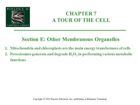 CHAPTER 7 A TOUR OF THE CELL Copyright © 2002 Pearson Education, Inc., publishing as Benjamin Cummings Section E: Other Membranous Organelles 1.Mitochondria.