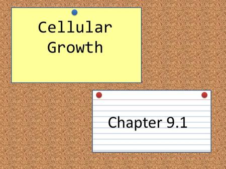 Cellular Growth Chapter 9.1. Main Idea Cells grow until they reach their size limit, then they either stop growing or divide Explain why cells are relatively.