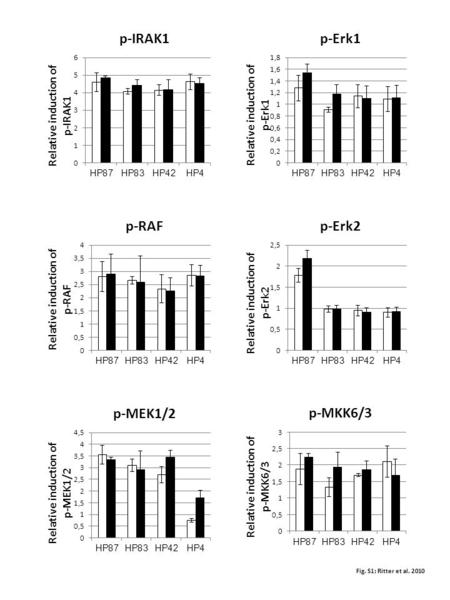 Fig. S1; Ritter et al. 2010 Relative induction of p-IRAK1 Relative induction of p-RAF Relative induction of p-MEK1/2 Relative induction of p-Erk1 Relative.