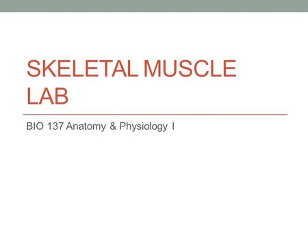 SKELETAL MUSCLE LAB BIO 137 Anatomy & Physiology I.