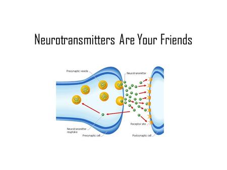Neurotransmitters Are Your Friends