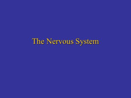 The Nervous System. Functions of the Nervous System 1.Control center for all body activities 2.Responds and adapts to changes that occur both inside and.