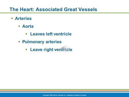 Copyright © 2009 Pearson Education, Inc., publishing as Benjamin Cummings The Heart: Associated Great Vessels  Arteries  Aorta  Leaves left ventricle.