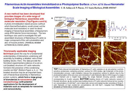 A Rinse AFM Detection Blue LED Array Photo Irradiation h  Vis) h  Cis Trans Photoisomerization of Azo Dye F-actin solution (1  L) + MgCl 2 Solution.
