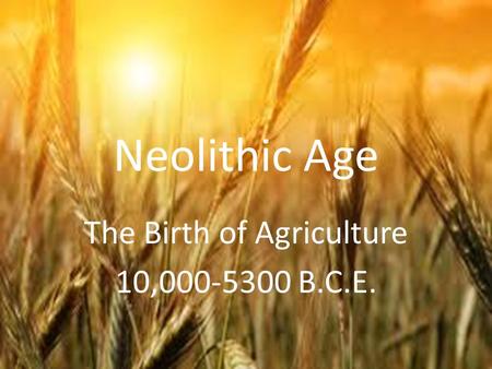 The Birth of Agriculture 10, B.C.E.