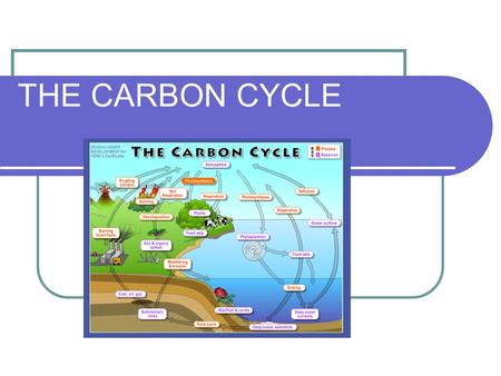 THE CARBON CYCLE.