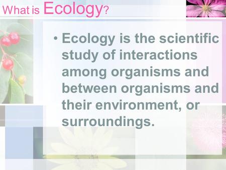 What is Ecology ? Ecology is the scientific study of interactions among organisms and between organisms and their environment, or surroundings.
