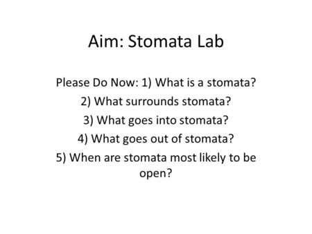 Aim: Stomata Lab Please Do Now: 1) What is a stomata?