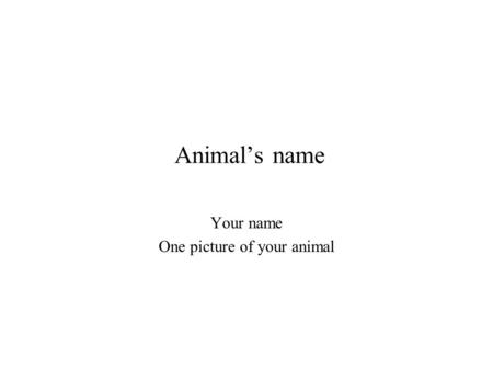 Your name One picture of your animal Animal’s name.