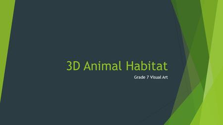 3D Animal Habitat Grade 7 Visual Art.