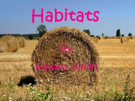 Habitats By: Edwina Smith.