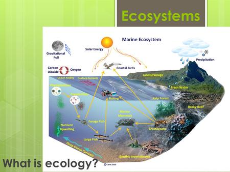 Ecosystems What is ecology?.