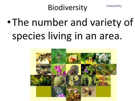 The number and variety of species living in an area.