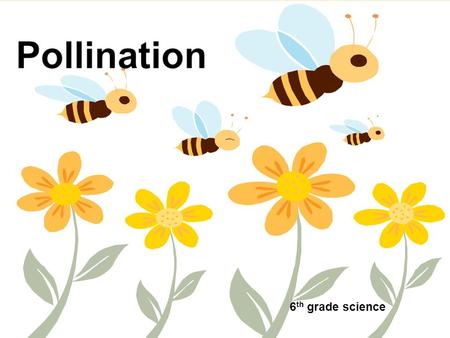Pollination 6th grade science.