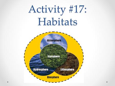 Activity #17: Habitats.