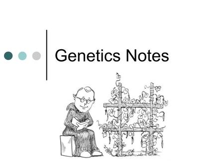 Genetics Notes. What is heredity? A. Traits passing from offspring to parents B. Traits passing from parents to offspring C. Plants that are cross-pollinated.