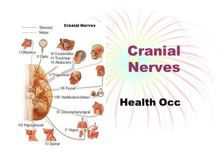 Cranial Nerves Health Occ.