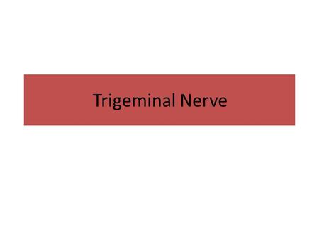 Trigeminal Nerve.