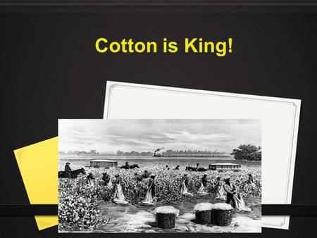 Cotton is King!.