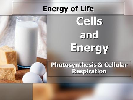 Cells and Energy Photosynthesis & Cellular Respiration Energy of Life.