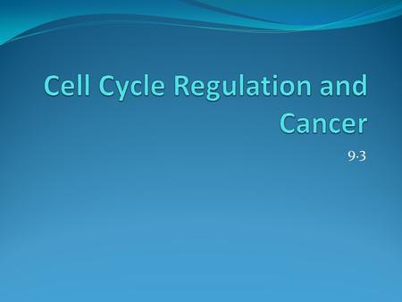 Cell Cycle Regulation and Cancer
