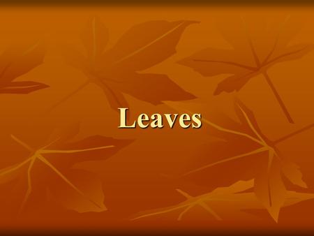 Leaves.