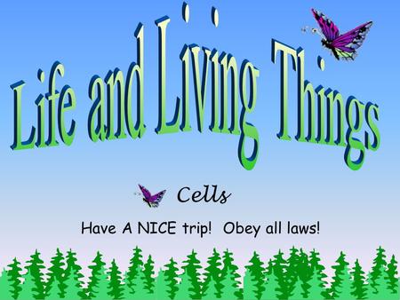 Cells Have A NICE trip! Obey all laws! Objective: Students will be able to provide reasons to support the conclusions that recognize unicellular organisms.