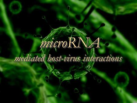 microRNA mediated host-virus interactions