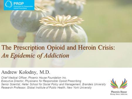 The Prescription Opioid and Heroin Crisis: An Epidemic of Addiction The Prescription Opioid and Heroin Crisis: An Epidemic of Addiction Andrew Kolodny,