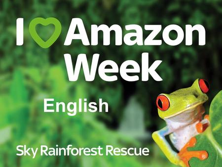 English. The Amazon rainforest © Greg Armfield / WWF-UK.