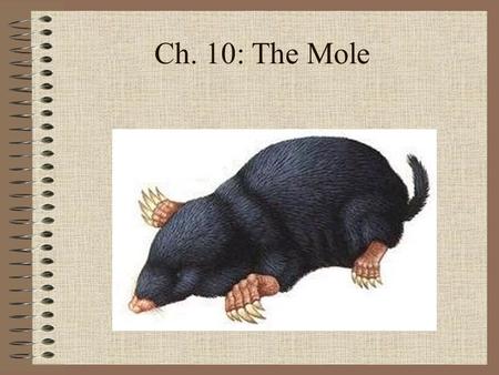 Ch. 10: The Mole. Sec. 10.1: Measuring Matter Objectives Describe how a mole is used in chemistry. Relate a mole to common counting units. Convert moles.