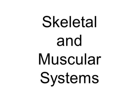 Skeletal and Muscular Systems. Skeletal System Functions Gives structure to the body Supports Muscles Protects organs.