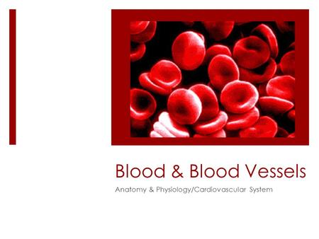 Blood & Blood Vessels Anatomy & Physiology/Cardiovascular System.