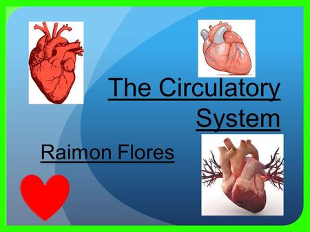 Raimon Flores. Major functions of the circulatory system Permits blood and lymph circulation to transport nutrients To nourish body and help fight diseases.