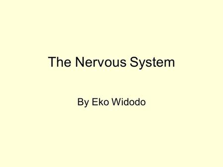 The Nervous System By Eko Widodo. The nervous system is one of the 2 control systems in our body. The nervous system is designed for fast action. It coordinates.