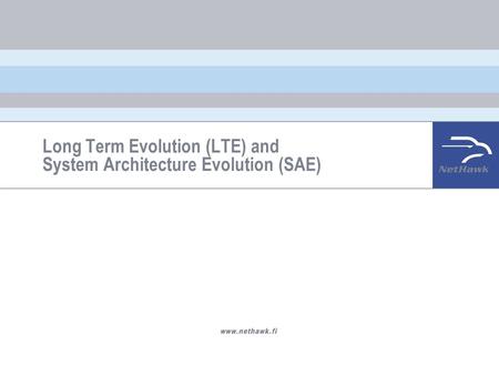 Long Term Evolution (LTE) and System Architecture Evolution (SAE)