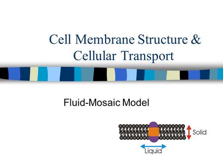 Cell Membrane Structure & Cellular Transport