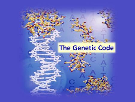 The Genetic Code. The DNA that makes up the human genome can be subdivided into information bytes called genes. Each gene encodes a unique protein that.