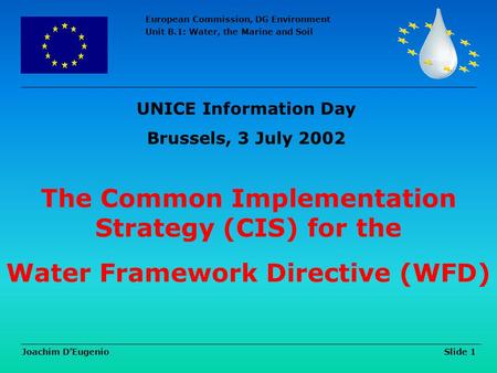 European Commission, DG Environment Unit B.1: Water, the Marine and Soil Joachim D’Eugenio Slide 1 The Common Implementation Strategy (CIS) for the Water.