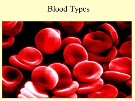 Blood Types.